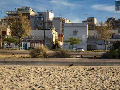 Arenili dai quali si pu� ammirare lo skyline del quartiere, fatto di bassissime case separate tra loro da strette stradine